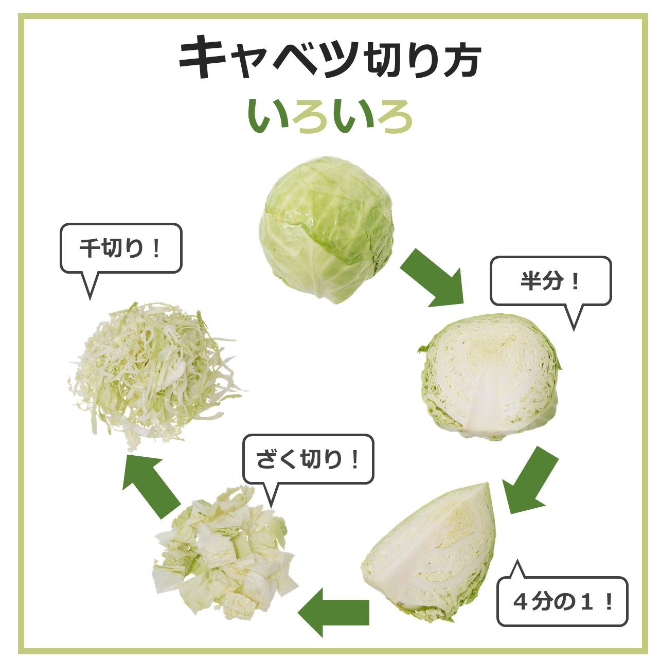 【決定版】キャベツの切り方大全！食感を極める千切りや料理別の極意