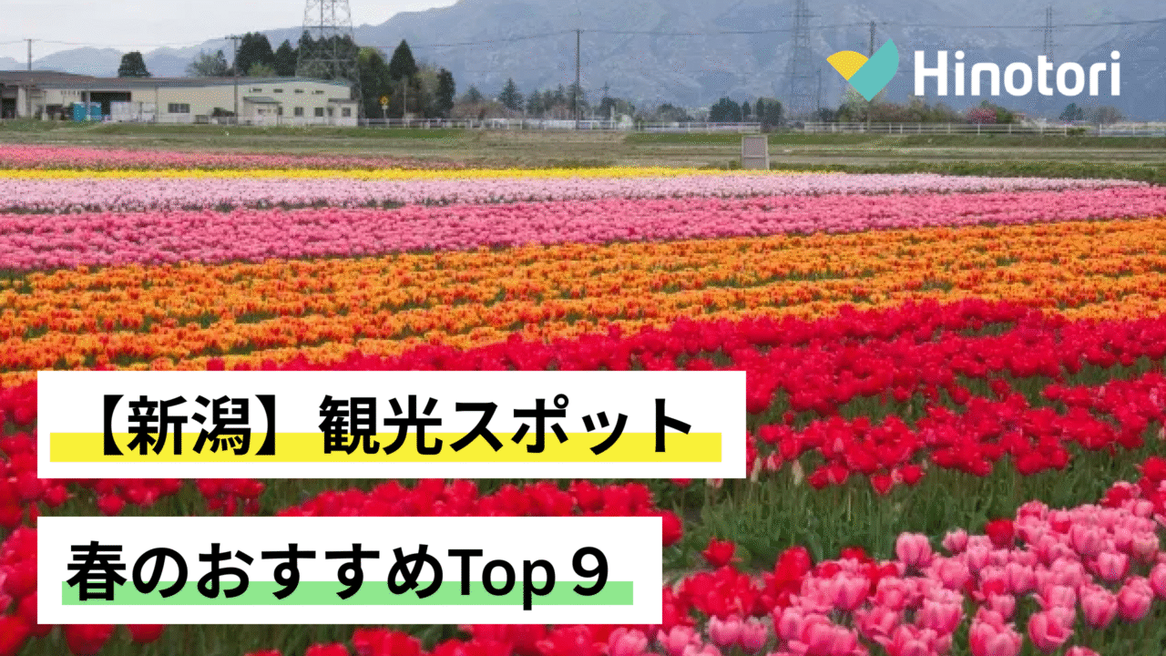 新潟の銘酒が集う「長谷川屋」の魅力とは？限定酒や通販と評判を徹底解剖