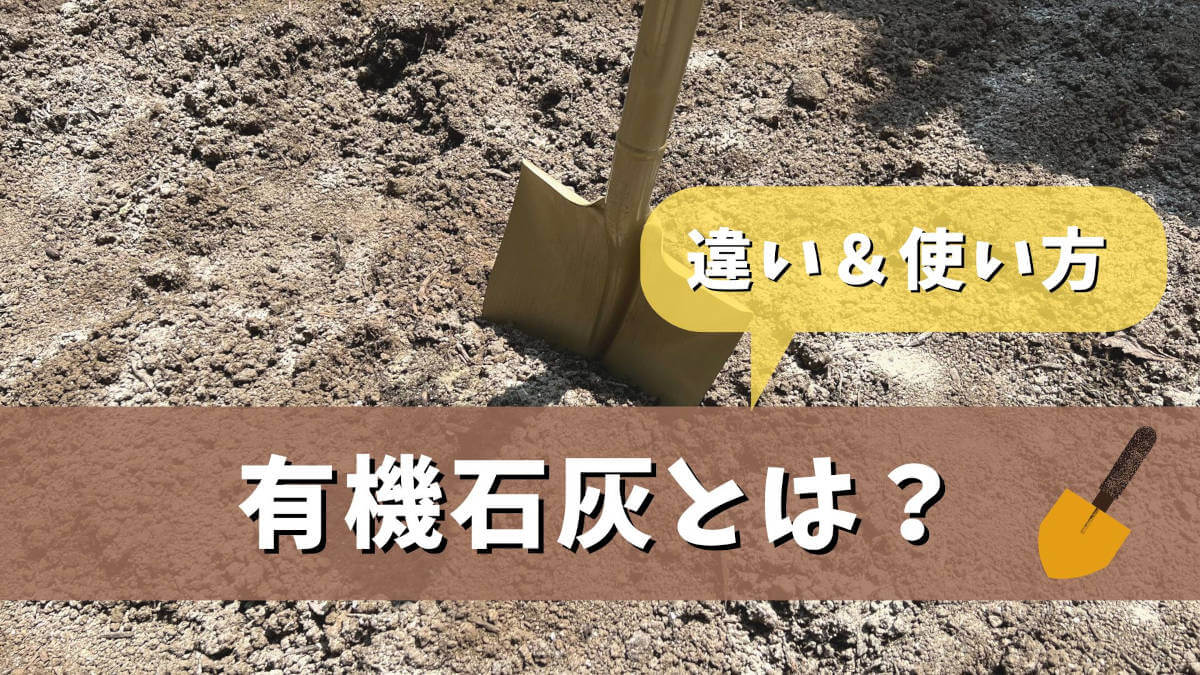 有機石灰とは？苦土石灰との違いやまいてすぐ植えられる理由を徹底解説