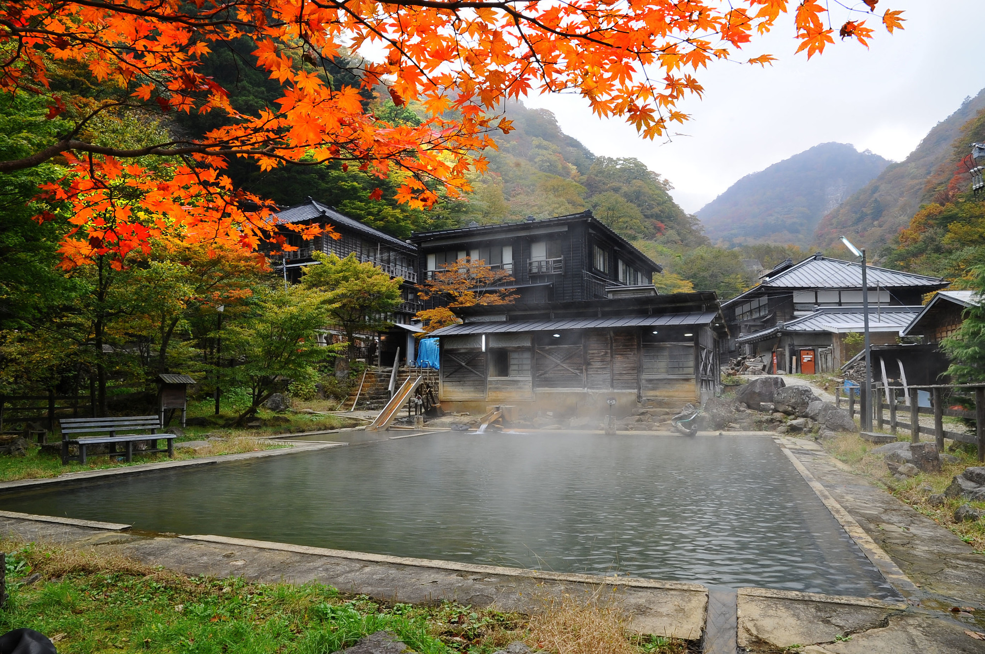 那須川天心の出身地・松戸が生んだ神童！世界王者へ挑むルーツ