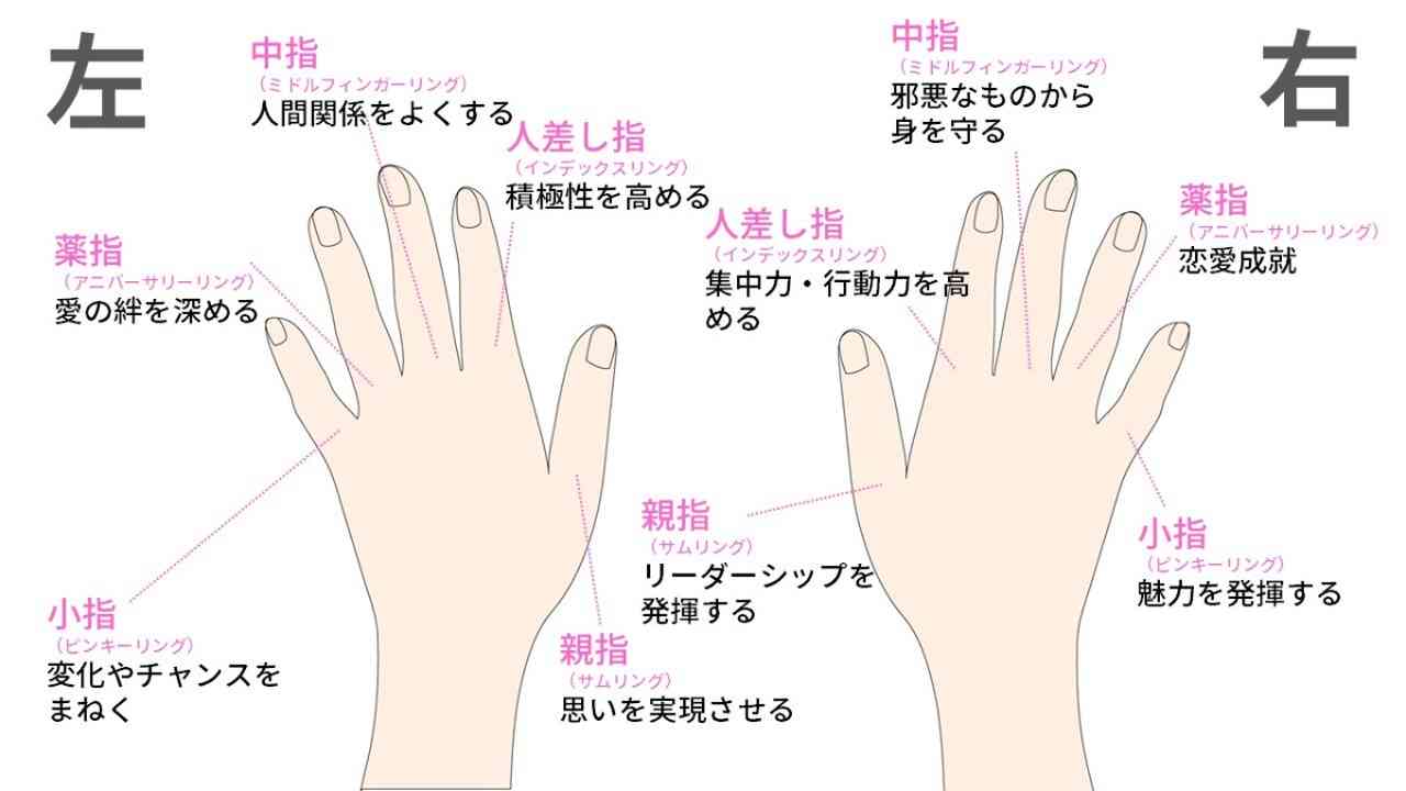 【話題】 薬指 長い 男 割合 話題のSns投稿まとめ 2026 #645