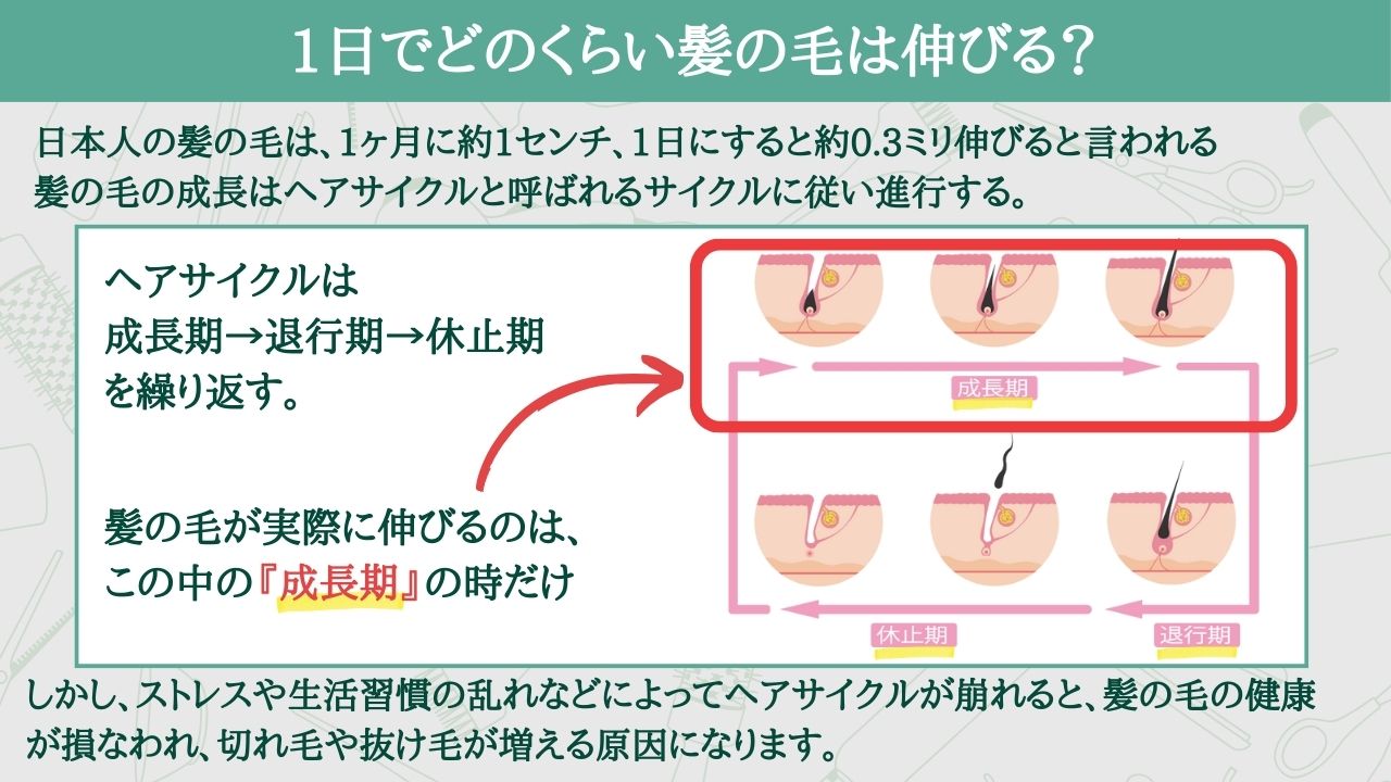 キャベツとじゃがいも絶品レシピ｜殿堂入り時短おかずと大量消費術