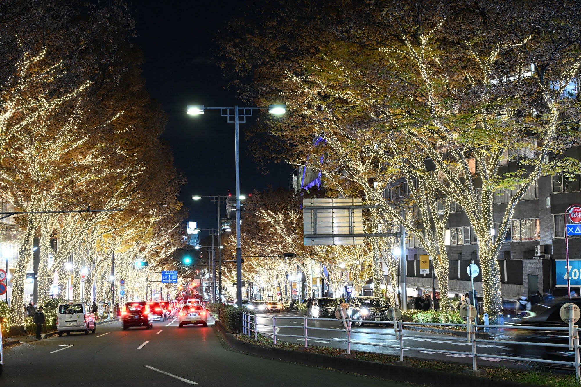 表参道イルミネーション2026徹底取材！点灯時間と混雑回避の真相
