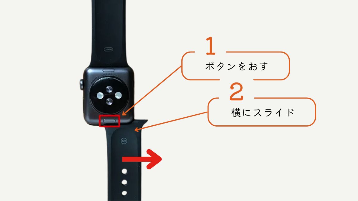 メダカの見分け方決定版！雌雄判別と人気品種・プロの選別技術