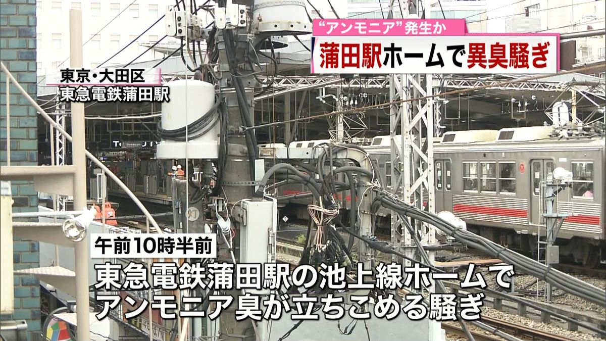 電車内の不快なアンモニア臭の真相とは？座席の雑菌と自衛テク