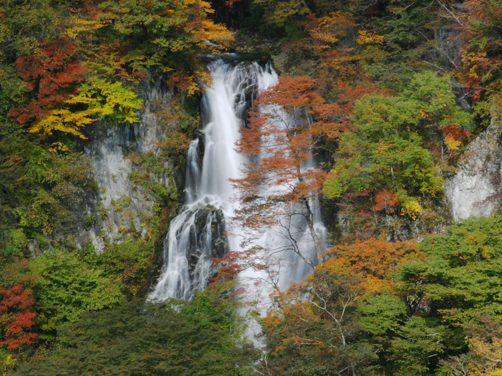 北斎が描いた日光三名瀑「霧降の滝」隠れた絶景と混雑回避術を解禁