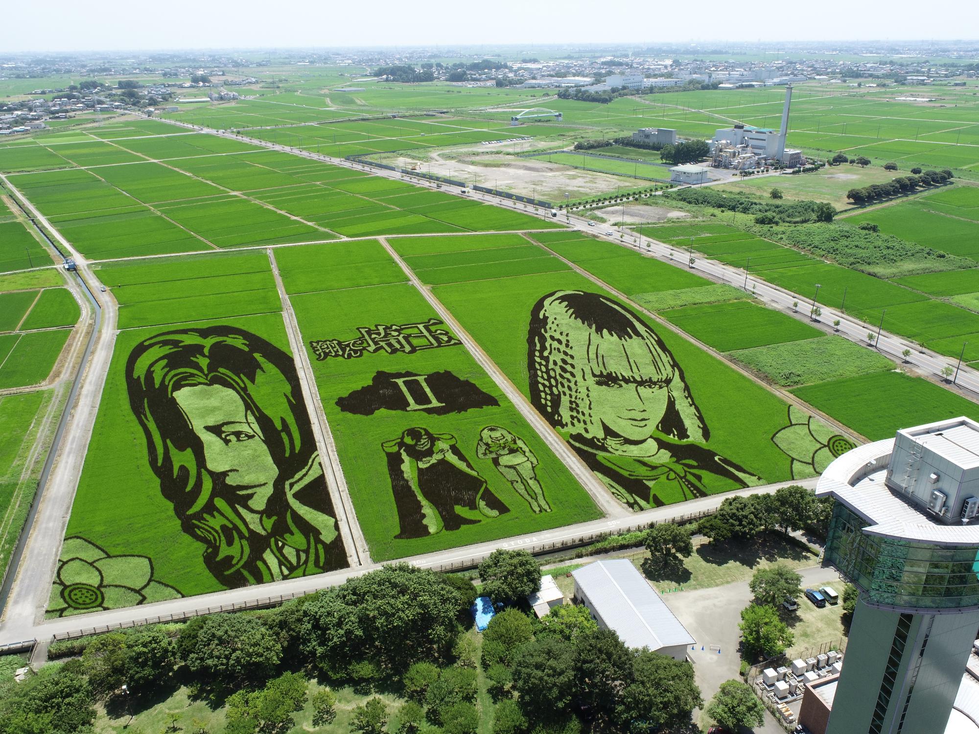 行田田んぼアートの全貌と2026最新見頃｜世界一の真相と歴代作を解剖