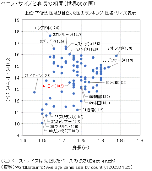 ペニスの大きさ日本人平均と正しい測り方｜女性の本音や増大の真相に迫る