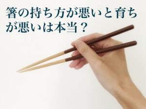 【最新】 箸 の 持ち 方 汚い 最新ファイル＆画像まとめ #754