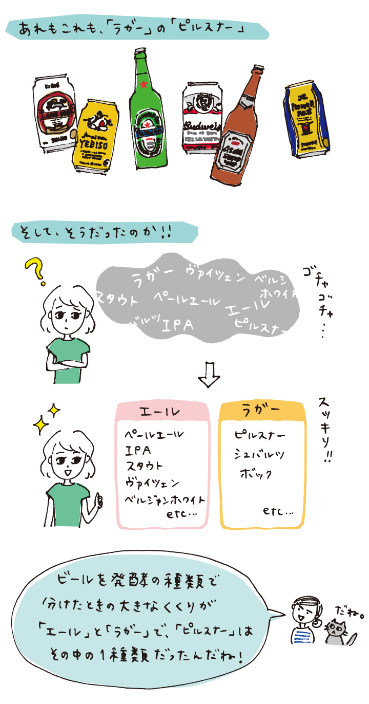 ラガービールとは？エールとの決定的な違いと下面発酵の秘密を徹底検証
