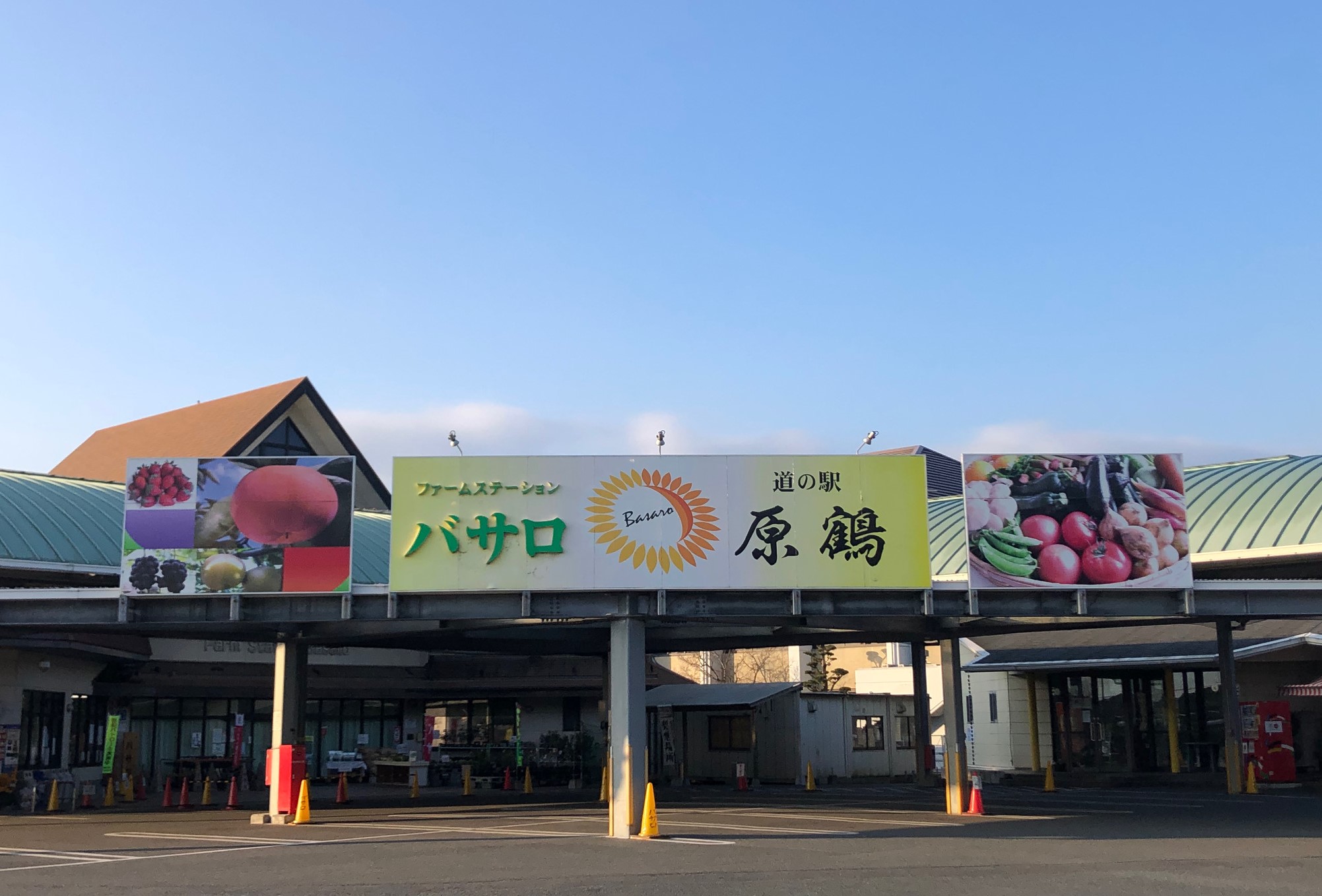 道の駅原鶴バサロの魅力解剖！ひまわり見頃とフルーツ直売所の全貌