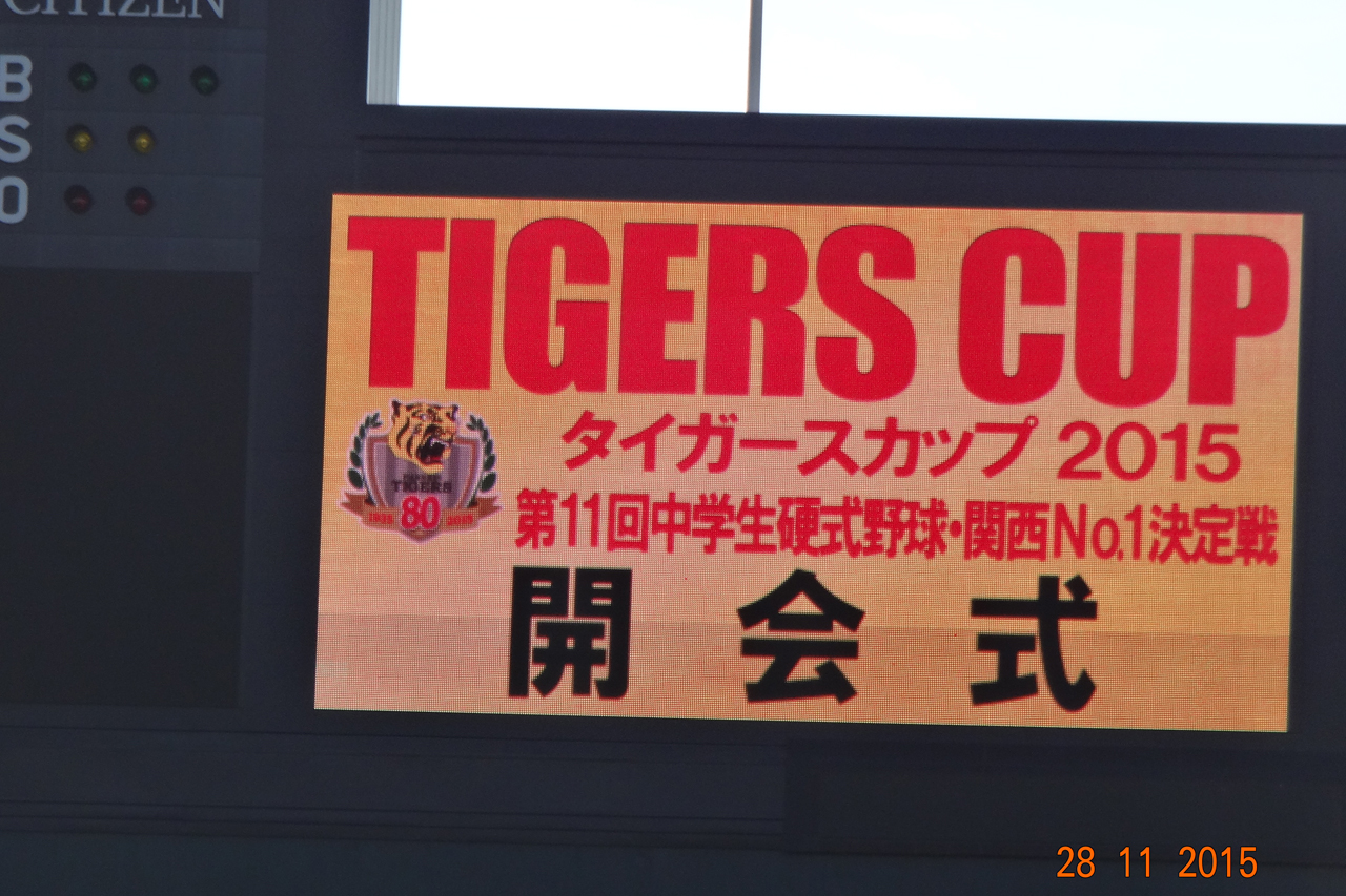【2026年最新】猛虎ファンの喜怒哀楽が爆発する「聖地」の今——速報と熱狂を生むネットコミュニティの裏側
