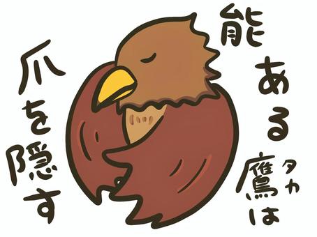 【必見】 能 ある 鷹 は 爪 を 隠す 最新ニュース速報 2026 #803