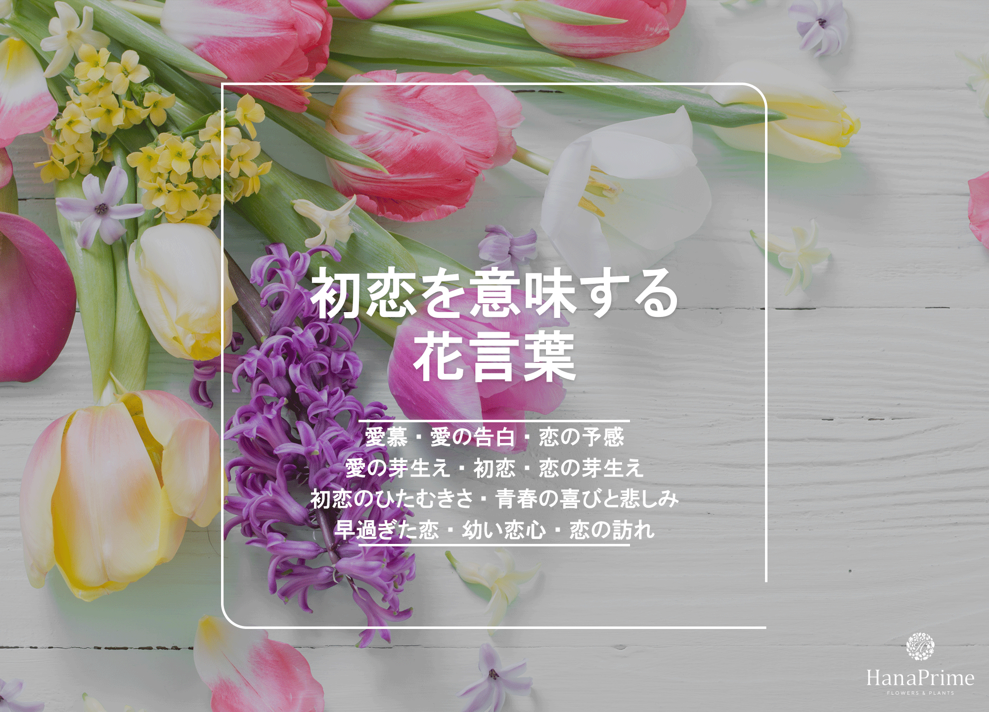 恋愛の花言葉完全ガイド！告白の本命から怖い裏の意味まで徹底検証