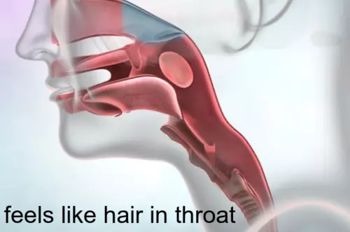 Hair Sensation in Throat