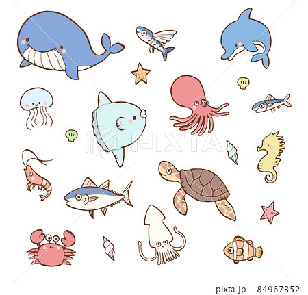 【真相】 かわいい 海 の 生き物 イラスト 2026年最新メディア #866