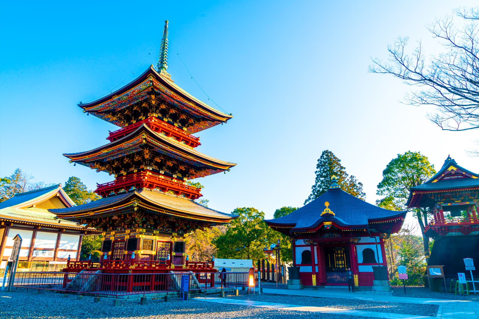 【2026年最前線】がん治療の未来はどう変わったか？ 千葉 県 が ん センターに見る個別化医療と最先端Dxの新潮流