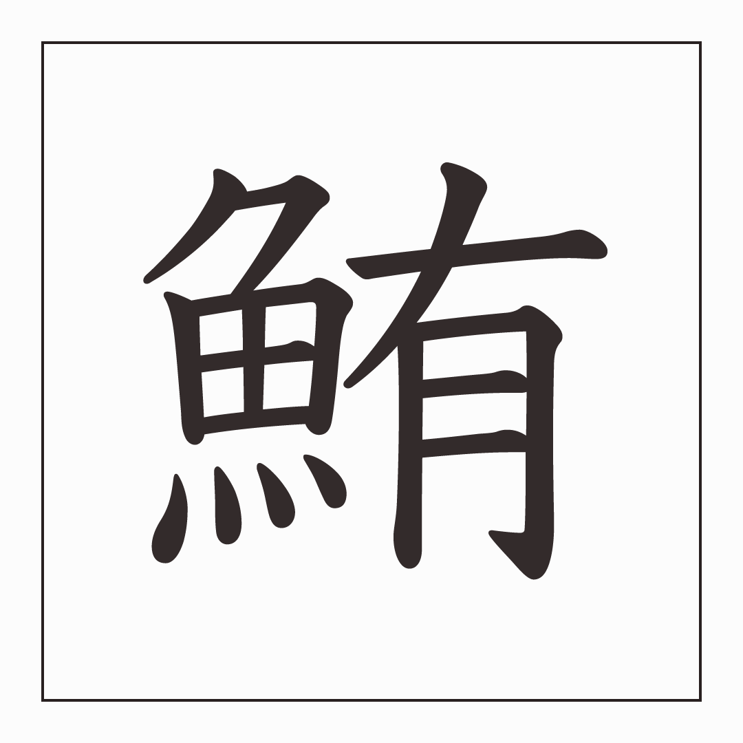 「魚に有り」は何と読む？実は大人気寿司ネタ「鮪」！由来と歴史