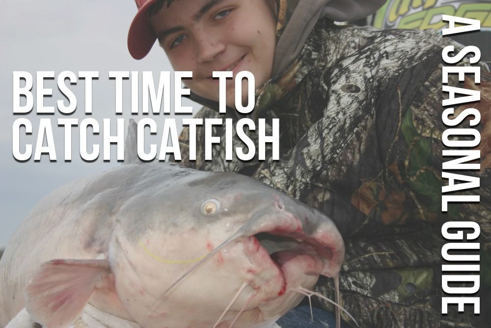 When Is the Best Time to Catch Catfish