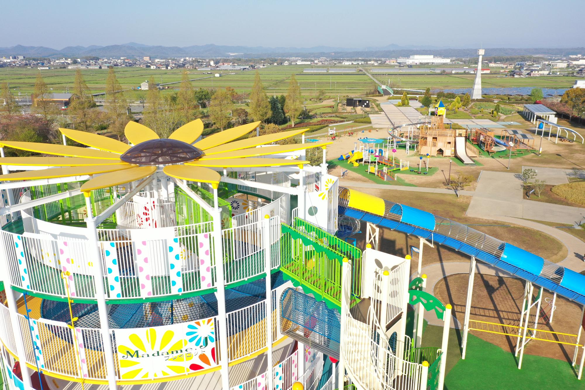 小野市立ひまわりの丘公園完全攻略！見頃時期と遊具・混雑回避術