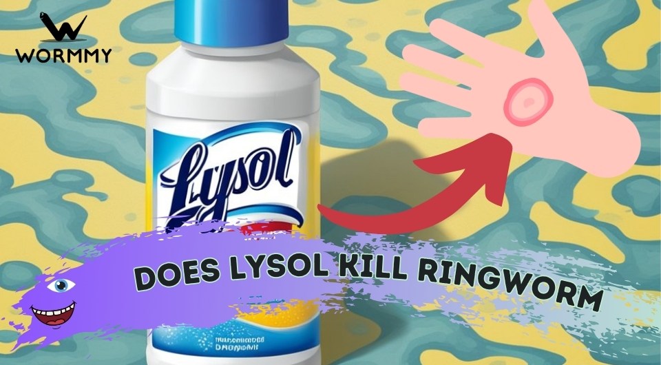 Does Lysol Kill Roundworm Eggs