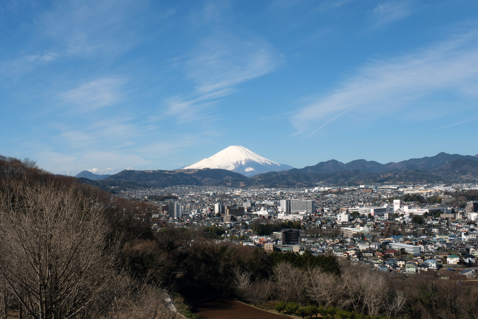 富士山と桜の絶景に息をのむ！弘法山ハイキング混雑回避完全ガイド