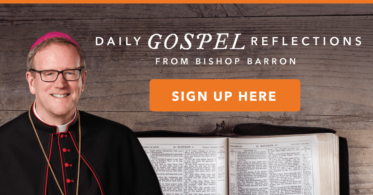 Bishop Robert Barron Daily Gospel Reflections