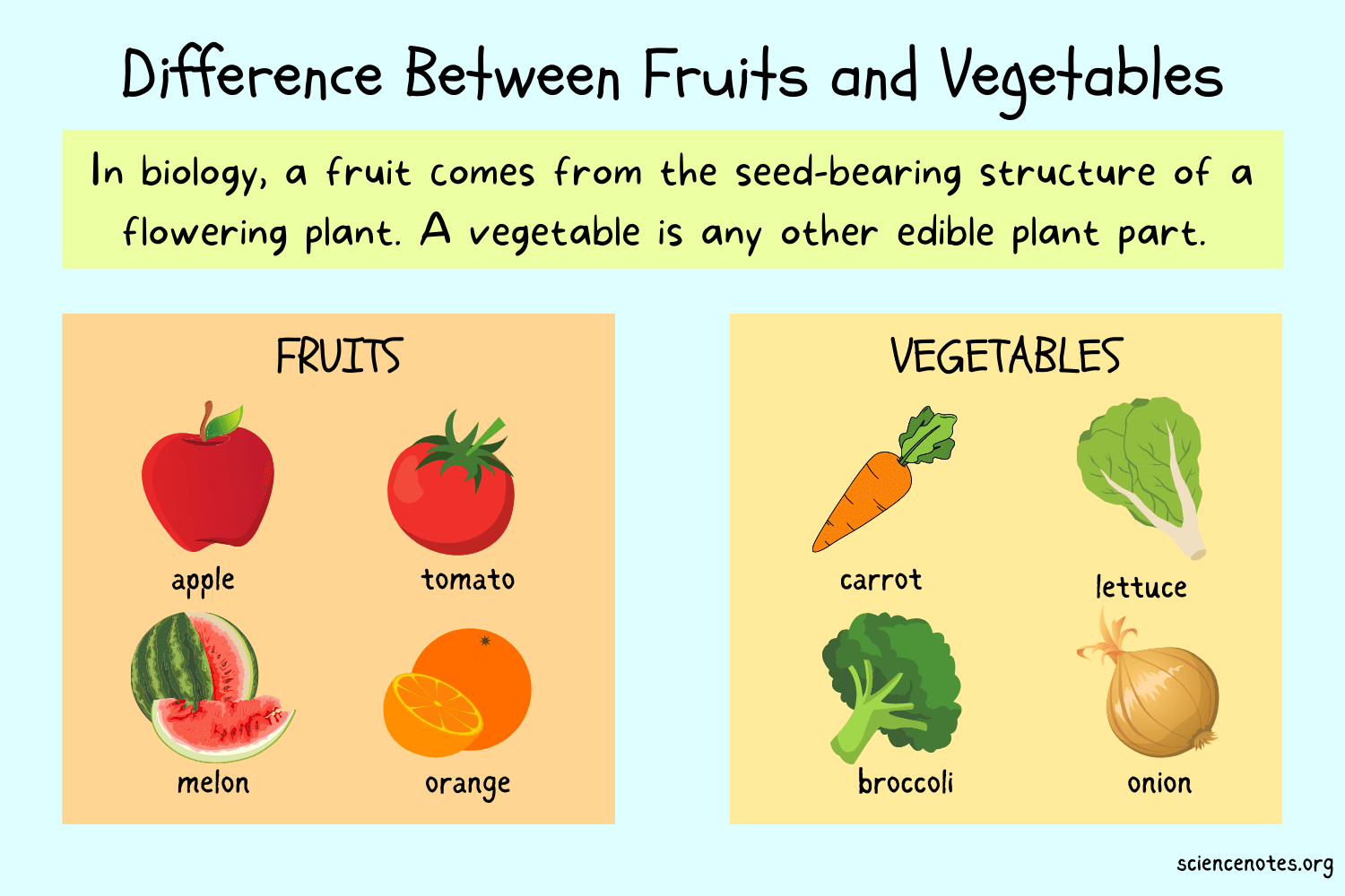 What Is Difference Between a Fruit and a Vegetable
