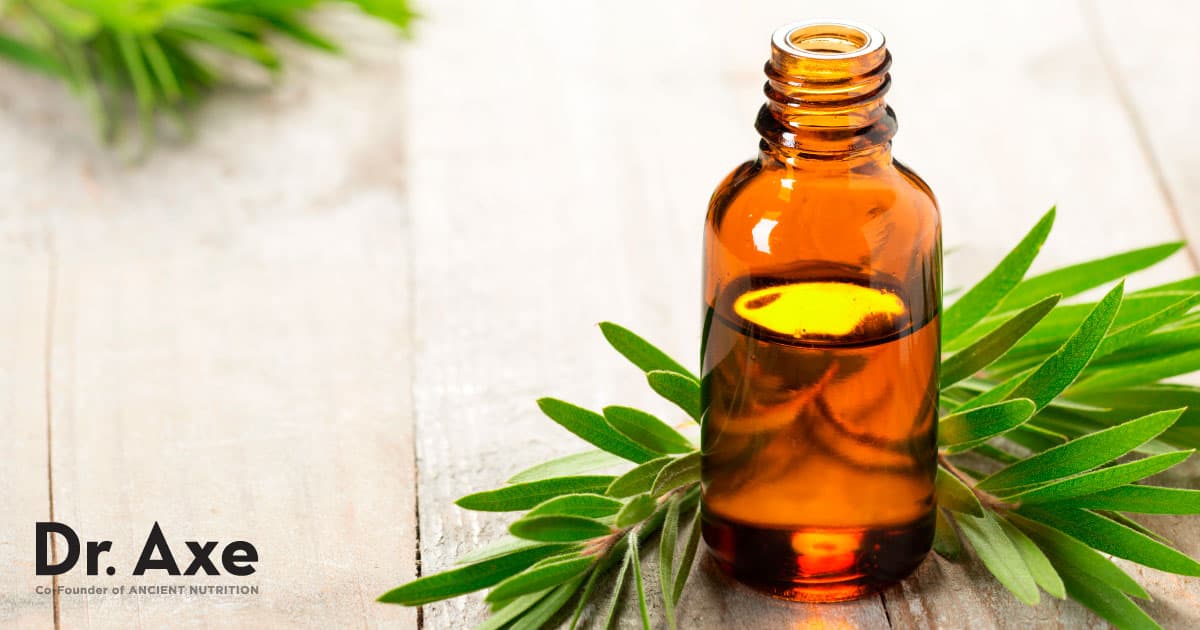 What Happens If You Ingest Tea Tree Oil