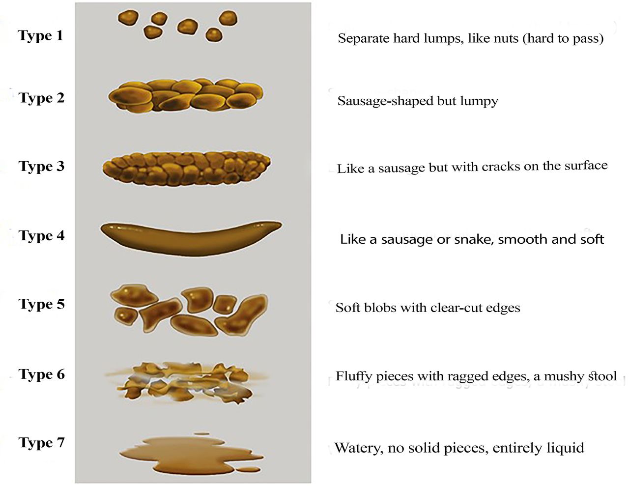 How Do Poop Form