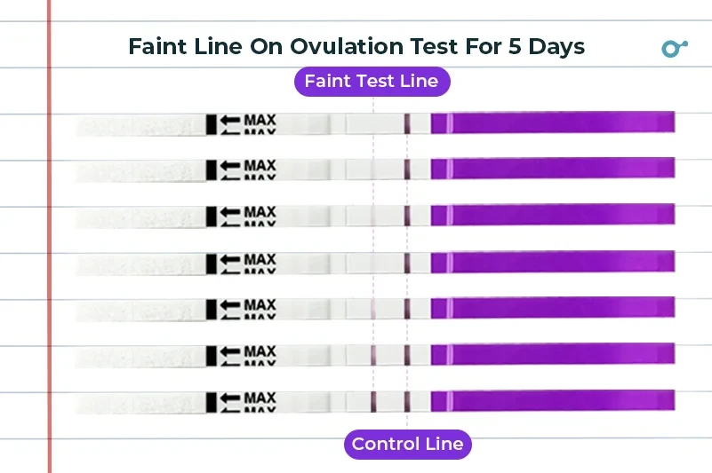 Ovulation Tests Faint Line