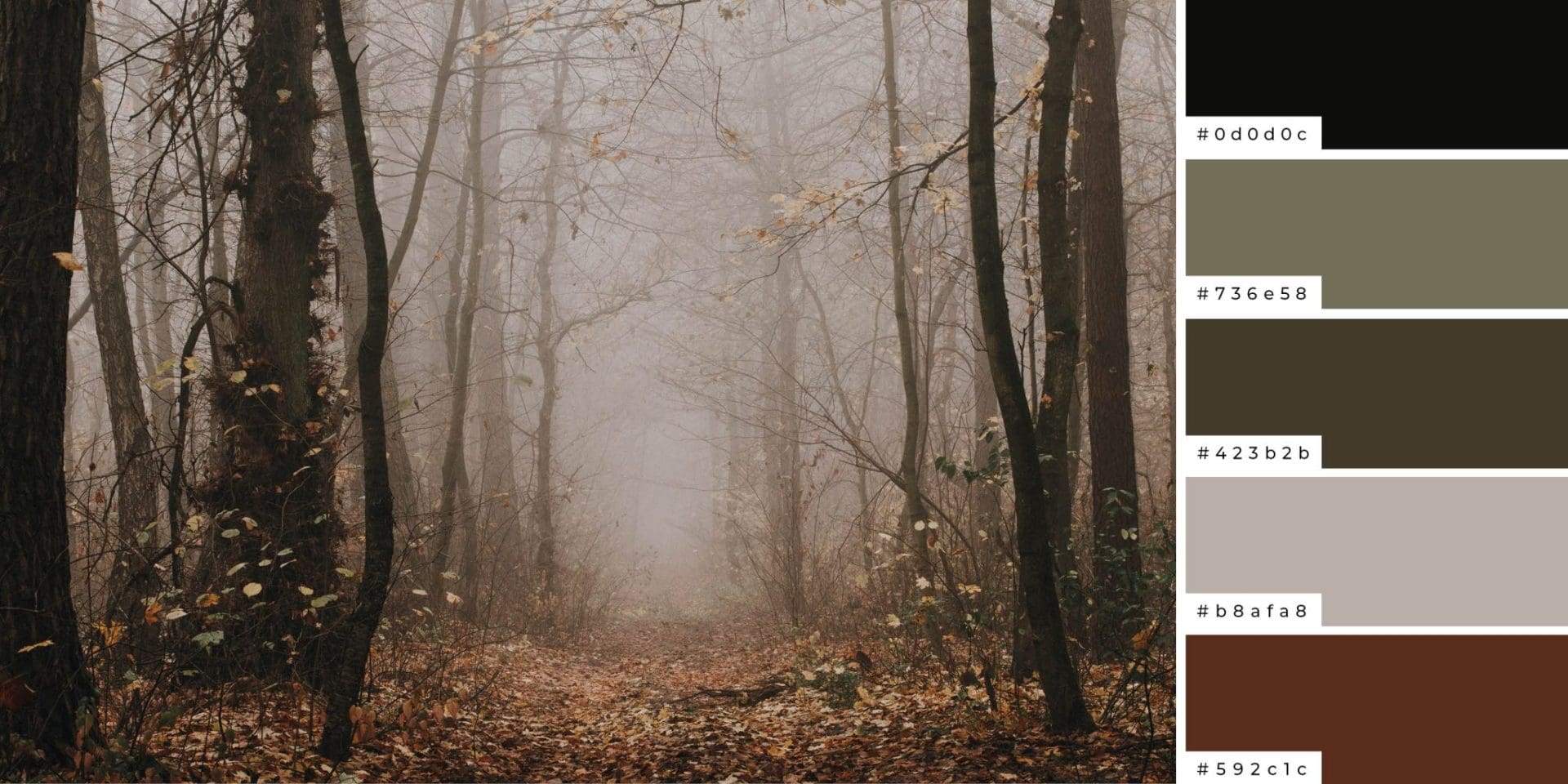 Is Gray a Fall Color