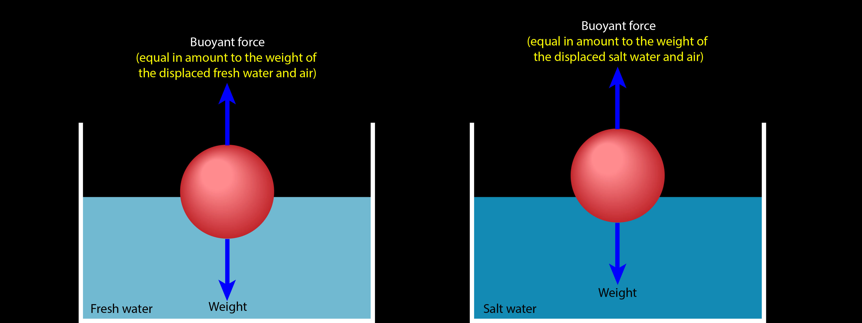 Do Objects Float Better in Freshwater or in Salt Water