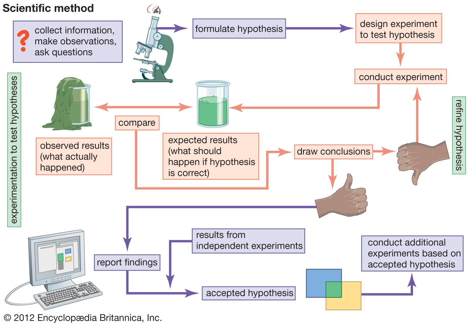 Example of a Scientific Method Experiment