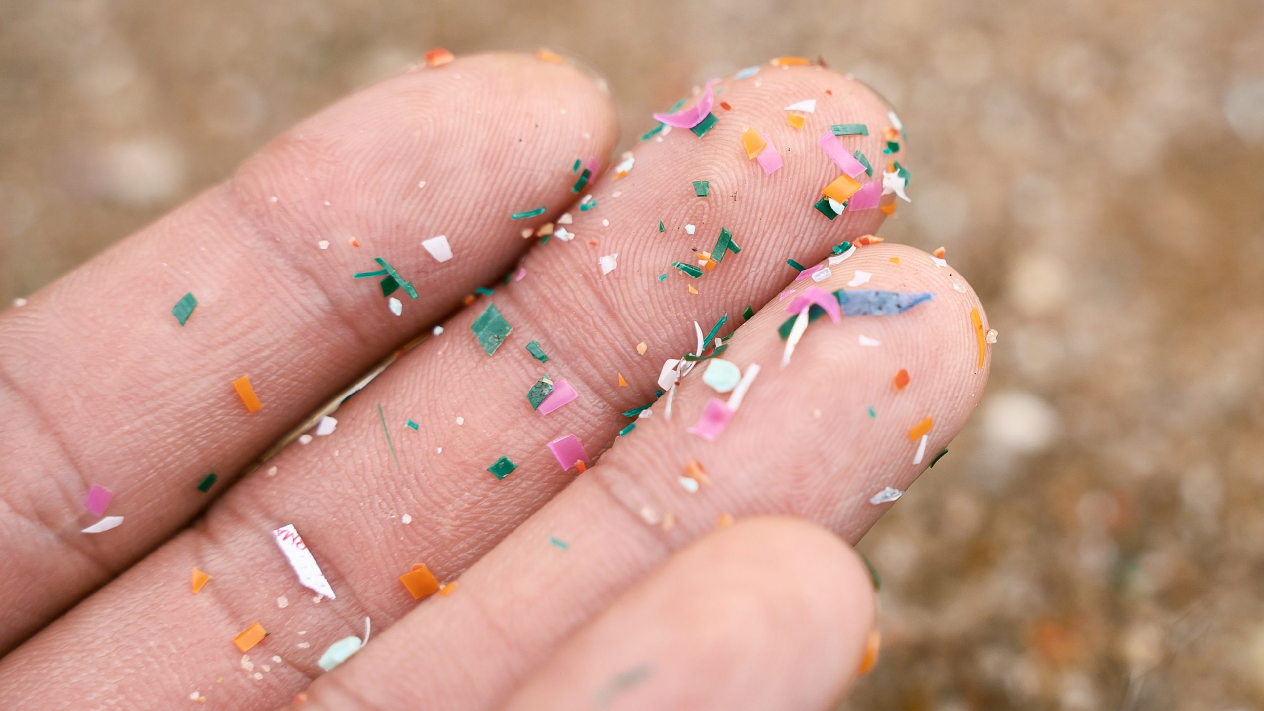 マイクロプラスチックとは？人体・血液検出の真相と2026年対策