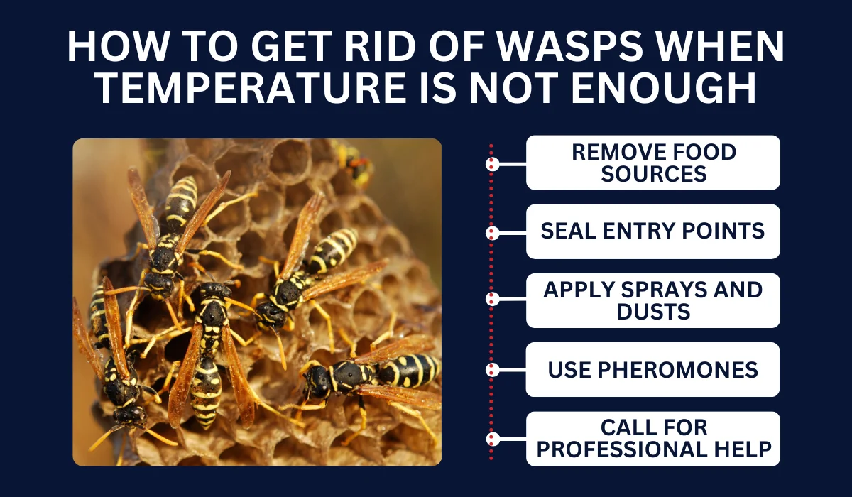 At What Temperature Do Wasps Become Inactive