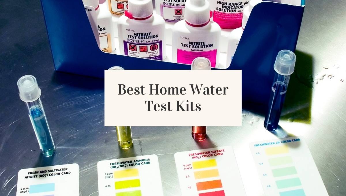 Best Water Testing Kit for Home