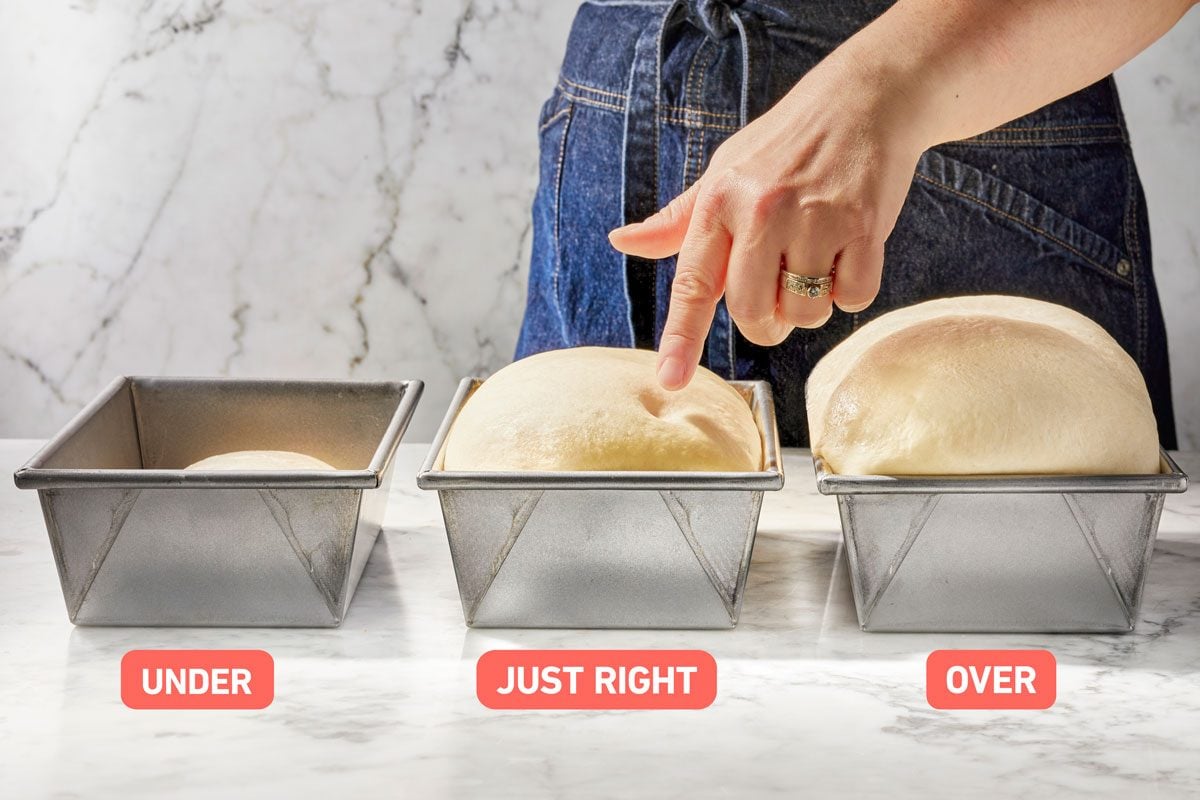 Can You Prove Bread in the Oven