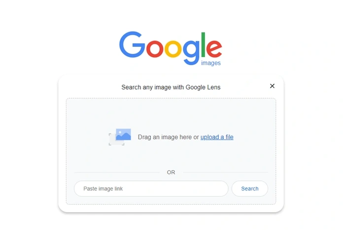 Google Image Sesrch