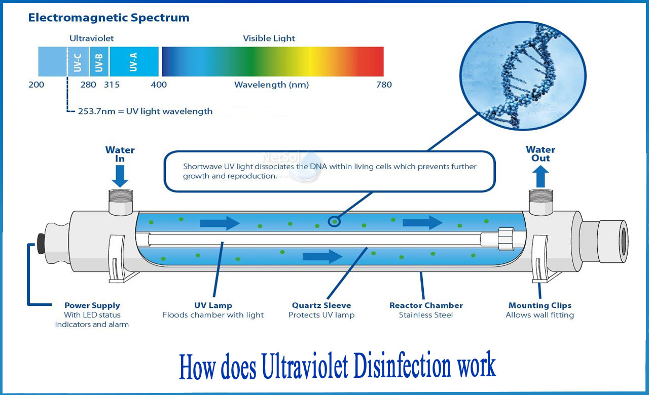 Ultraviolet Water Treatment for Waterborne Diseases