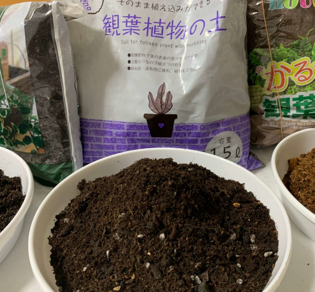 【2026年最新】プロが明かす観葉植物の土選び。部屋を汚さず元気に育てる最強ブレンドと最新トレンド