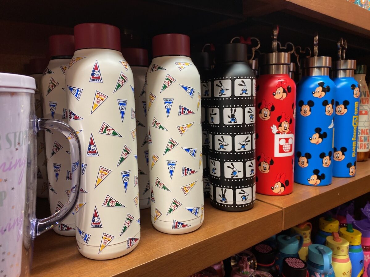 Water Bottles in Disney World