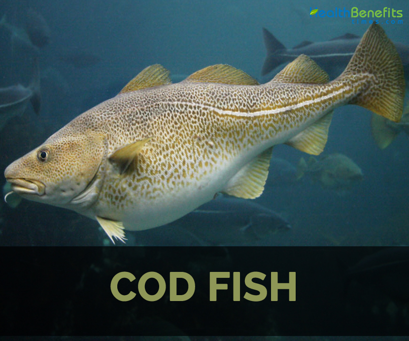 How Healthy Is Cod Fish