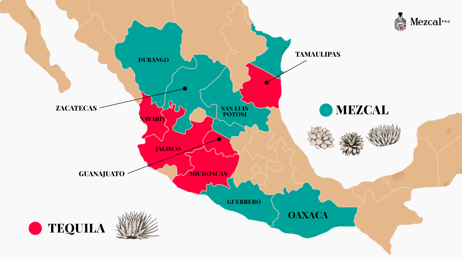 Does All Tequila Come from Mexico