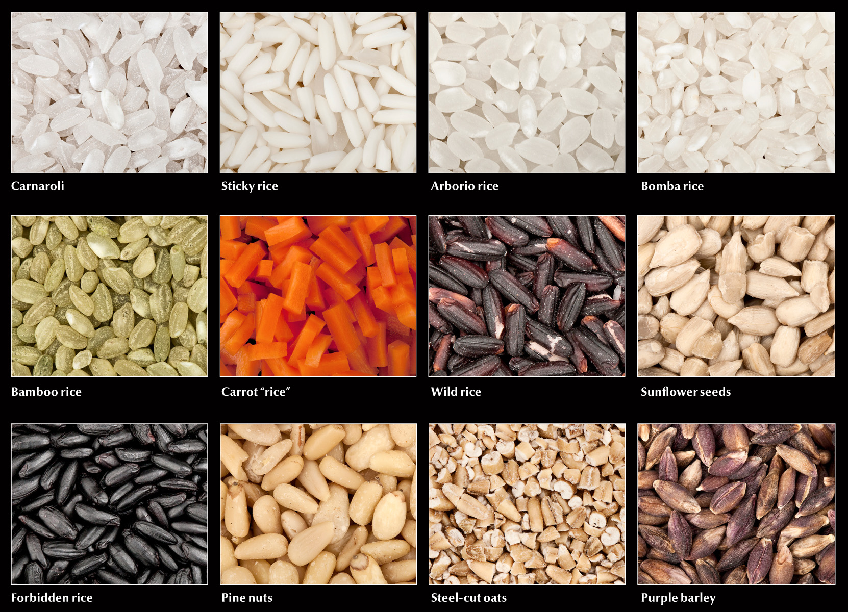 Type of Rice in Risotto