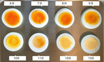 【経歴】 卵 賞味 期限切れ いつまで 最新写真集＆動画まとめ #632