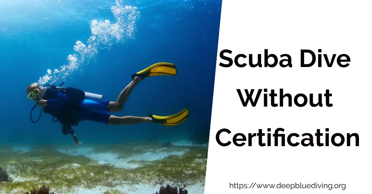 Can You Dive Without Certification