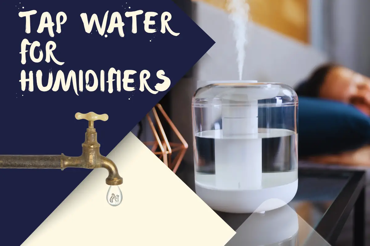 Is It Okay to Use Tap Water in a Humidifier