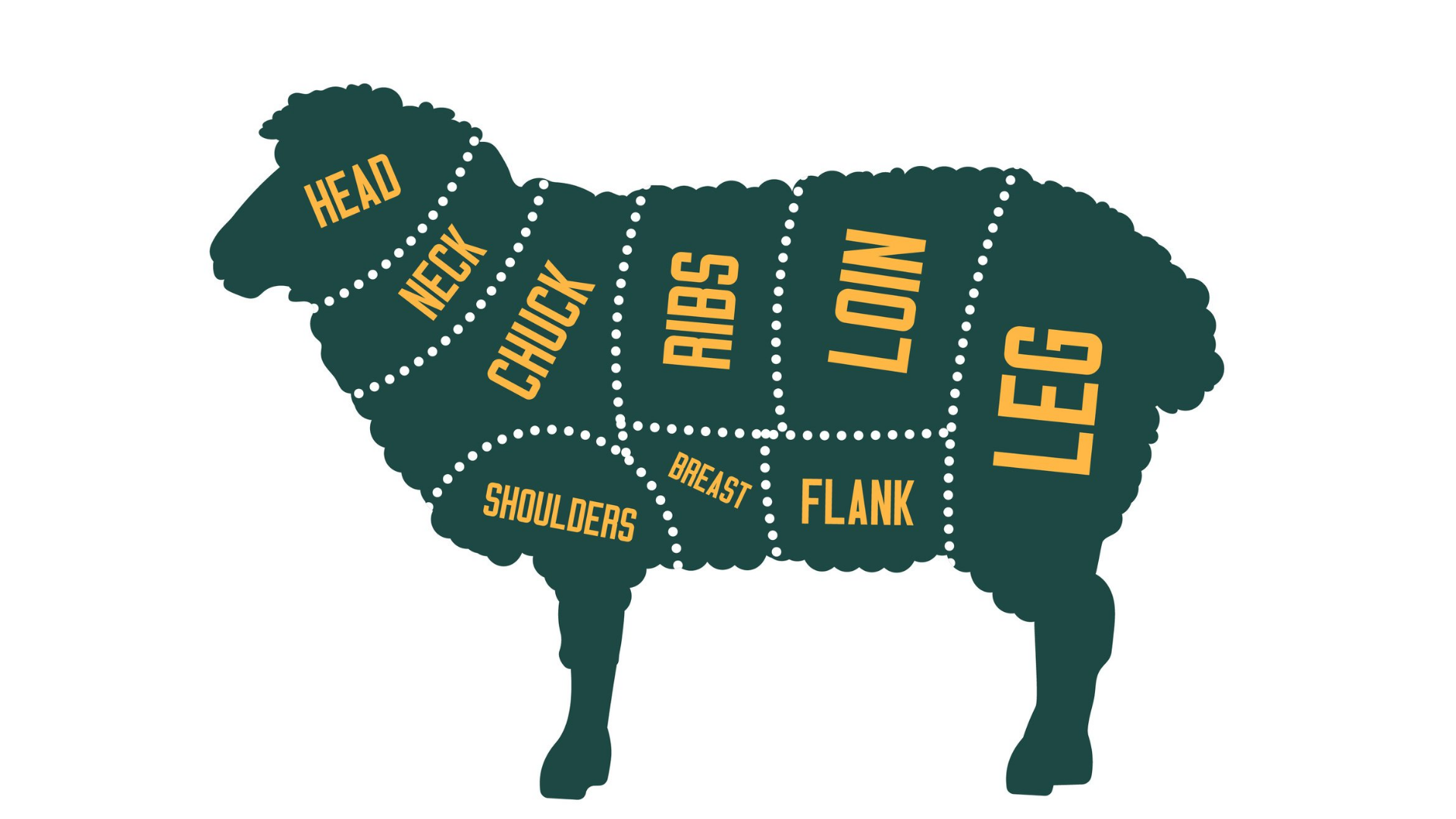 Lamb Chops Come from What Animal