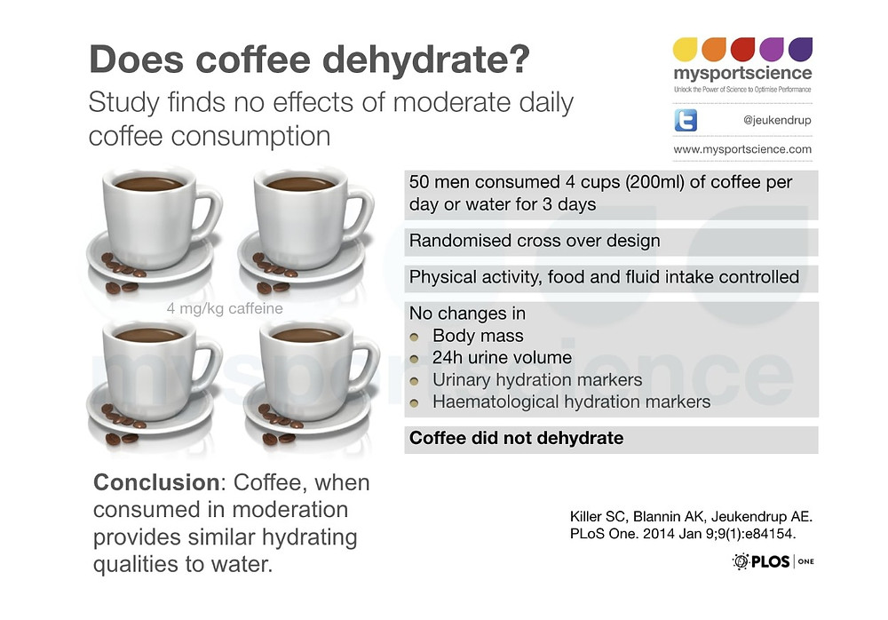 Does Drinking Coffee Count as Daily Water Intake